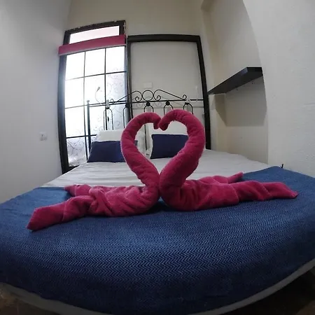 Auberge de jeunesse Puerto Nest Puerto de la Cruz (Tenerife)