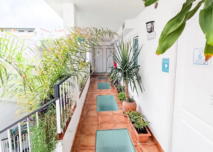 Ostello Puerto Nest Puerto de la Cruz (Tenerife)